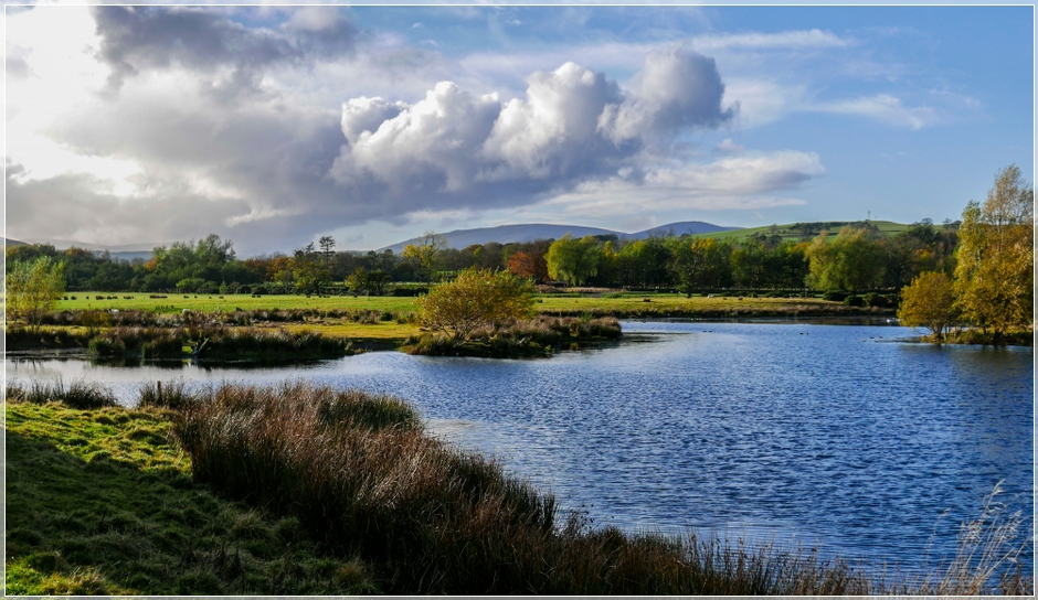 Rain over the Cheviot