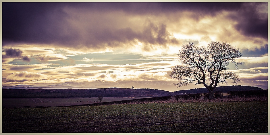 The Cheviot from Barmoor