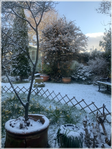Spring snow Spring snow