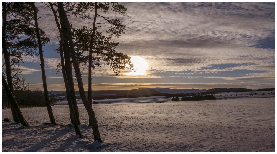 Alndale in January Alndale in January
