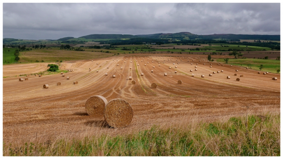 The Till Valley with Ros Castle on the horizon