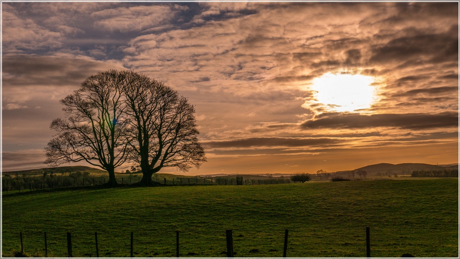 January afternoon