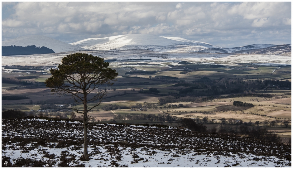 Cheviot Spring Snow