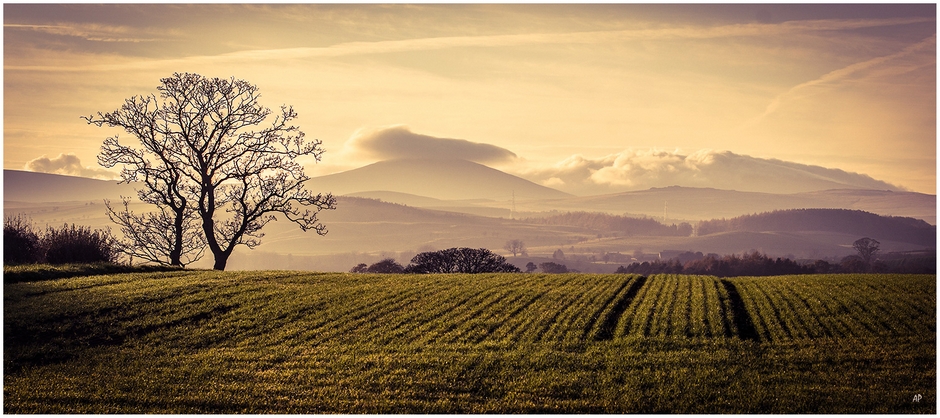 Autumn in the Till Valley