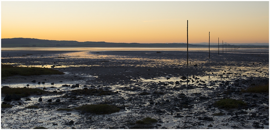 The Pilgrim's Way Holy Island