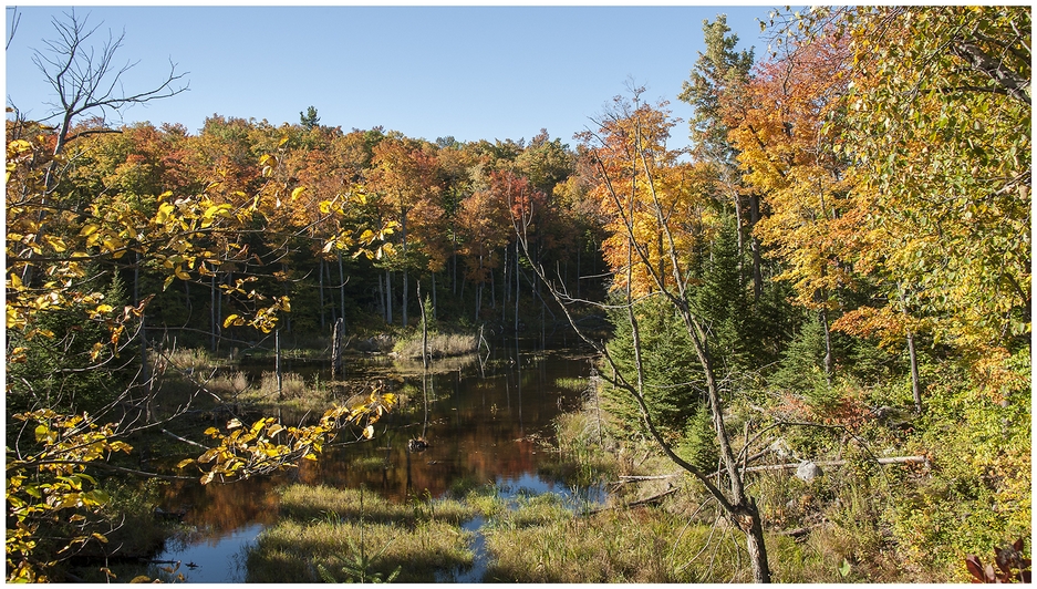 Canadian fall Cabadian fall
