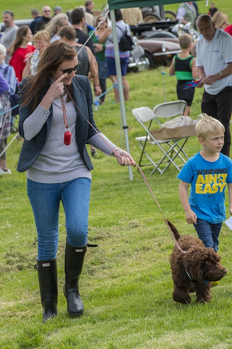 Glanton Show