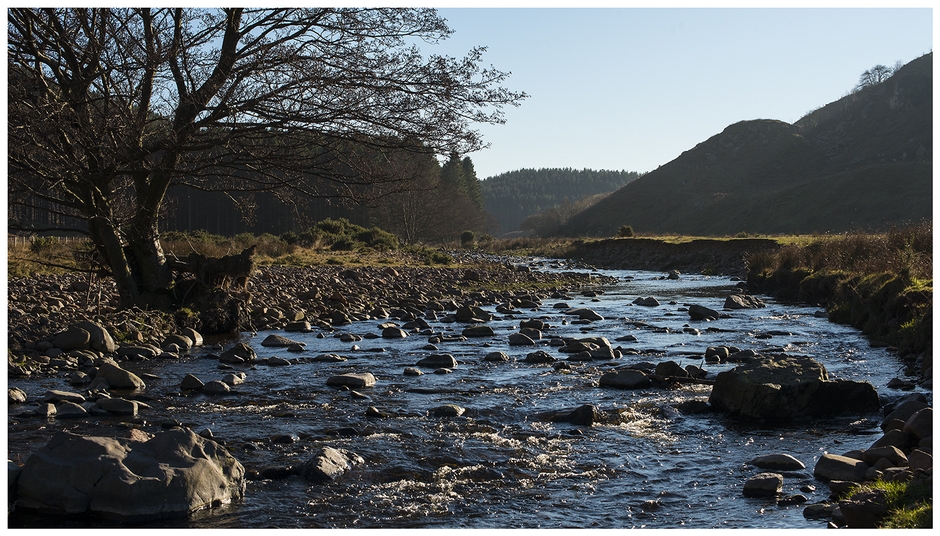 Early Spring on the Breamish River Early Spring on the Breamish River