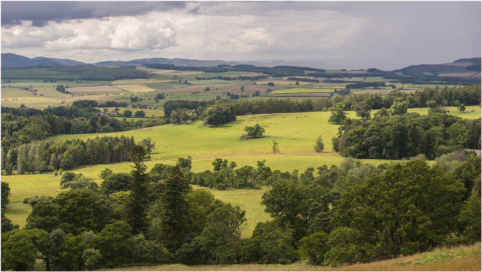 Chillingham Wild Cattle Park Chillingham Wild Cattle Park