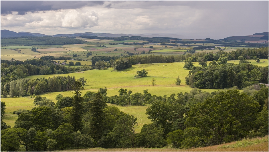 Chillingham Wild Cattle Park