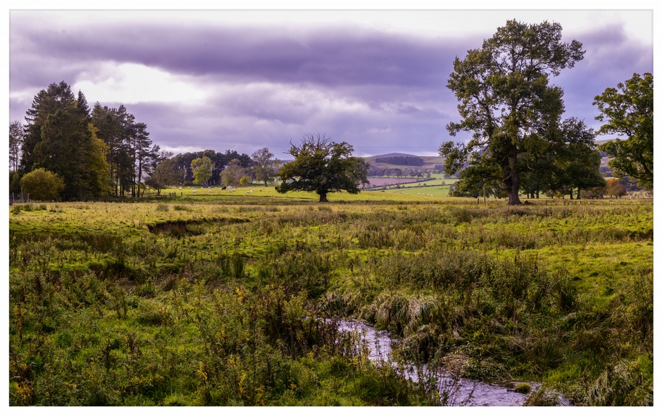 River Aln