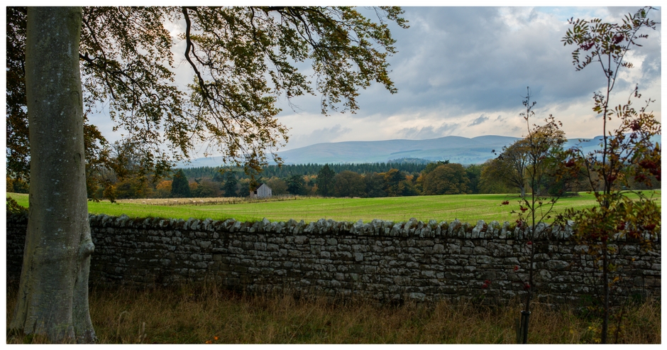 Autumn Shades in Alndale