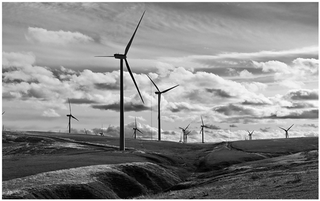 windfarm windfarm