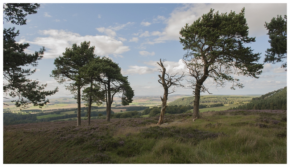 Northumberland Northumberland