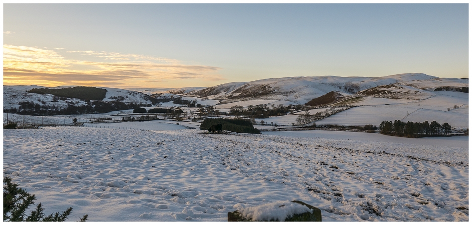 Coquetdale Winter. Alnham.