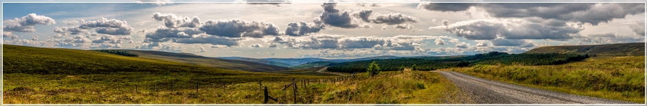 Kielder Forest Panorama from Blakehope Nick